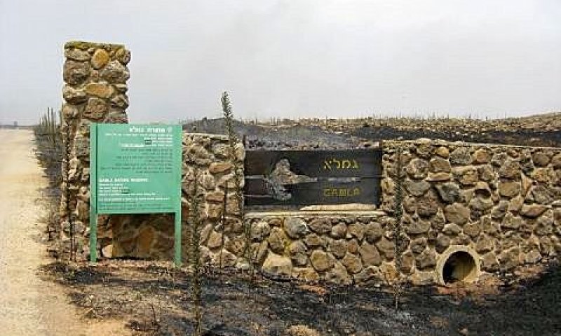 השריפה בשמורה [צילום: אסנת איתן]