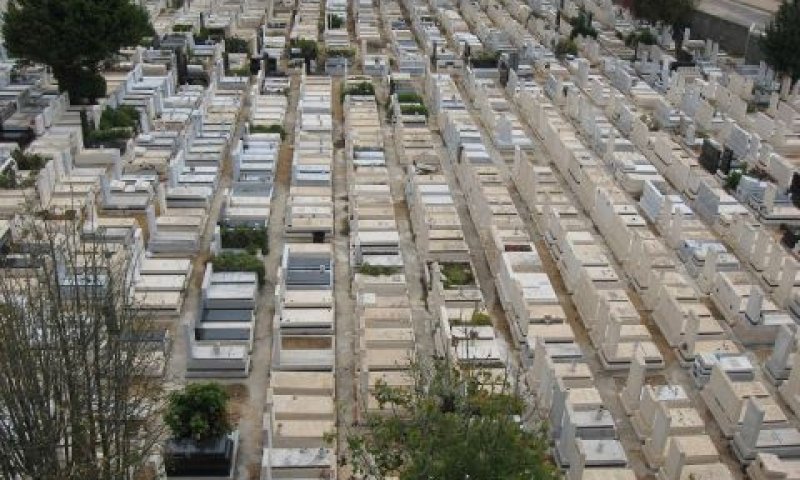קרית שאול. פתחו שורה