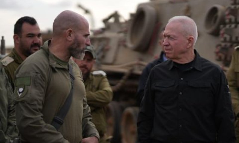 [צילום: אריאל חרמוני]