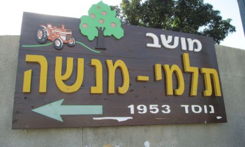 החליט לפעול עצמאית [צילום: אבישי טייכר]