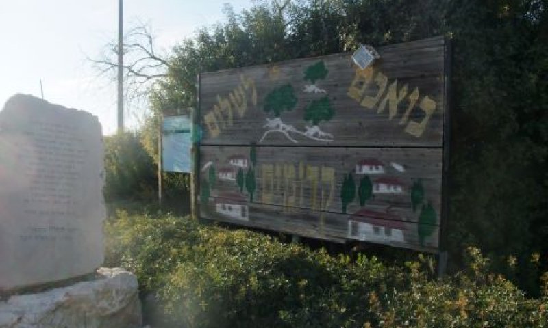 הליכי קליטה לא חוקיים גם במועצות מקומיות ביו"ש [צילום: איתמר לוין]