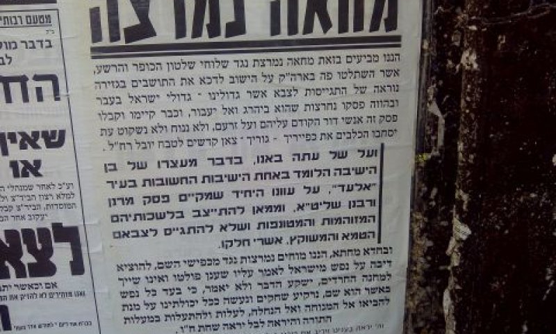 עברו לאלימות