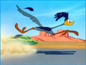 מעין Road Runner קדמון