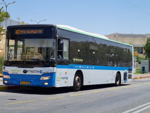 קו 43. הפרות רבות [צילום: מועצת בנימין]