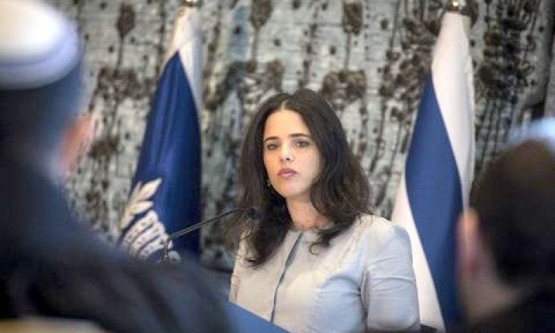 שקד. "חוסר איזון" [צילום: הדס פרוש, פלאש 90]