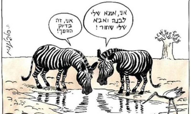 [צילום: יח"צ]