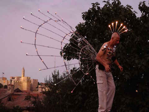 הדס עפרת