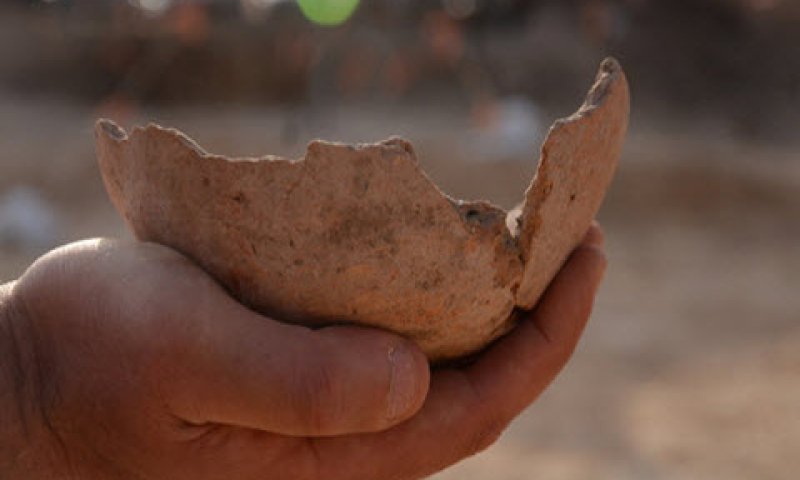 קערה מתקופת הברונזה הקדומה (3500 לפנה"ס) [צילום: יולי שוורץ, באדיבות רשות העתיקות]