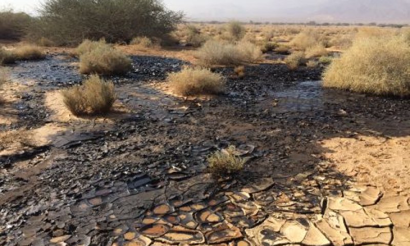 דליפת הנפט בערבה [צילום: פלאש 90]