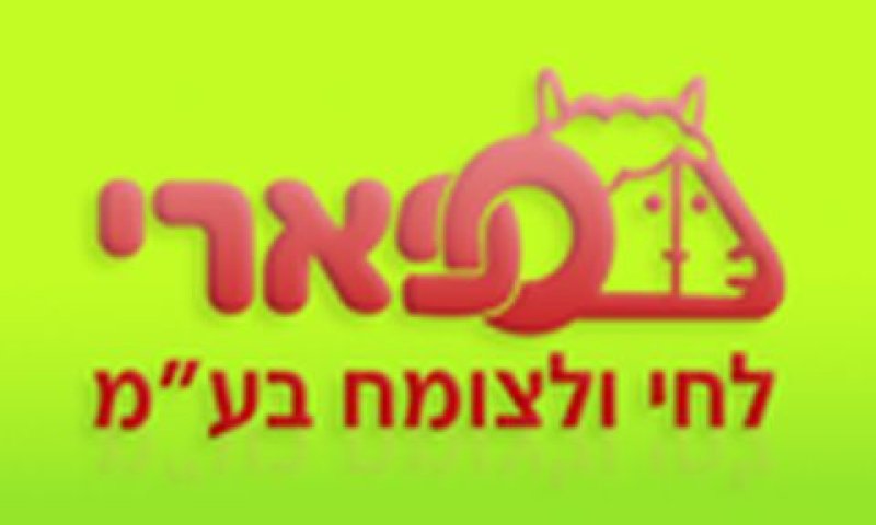 מבקשים תשעה חודשים
