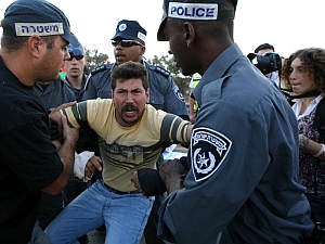 [צילום התמונות בכתבה: activestills]