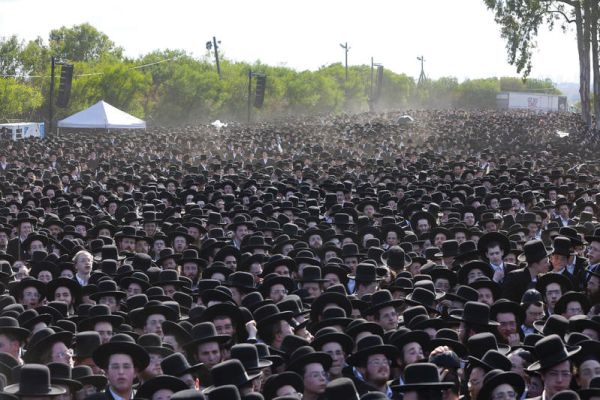 [צילום: טל גל/פלאש 90]