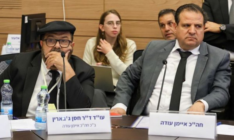 עודה ופרקליטו במהלך הדיון [צילום: דני שם-טוב/דוברות הכנסת]