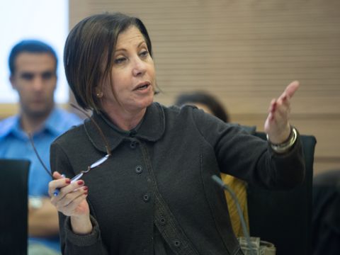 גלאון. החוק יישאר אות מתה [צילום: יונתן זינדל/פלאש 90]