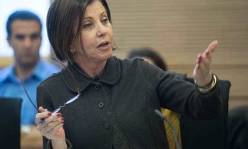 גלאון. ביקורת חריפה [צילום: יונתן זינדל/פלאש 90]