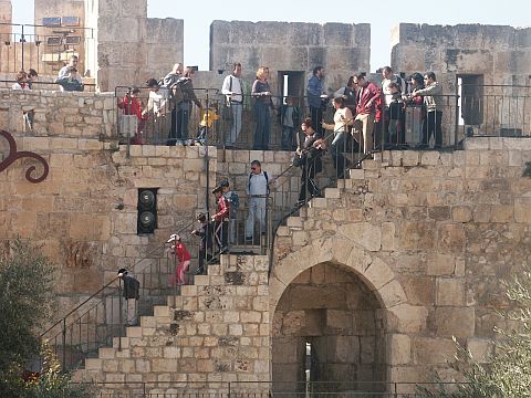 מחפשים את האפיקומן [צילום: יח"צ]