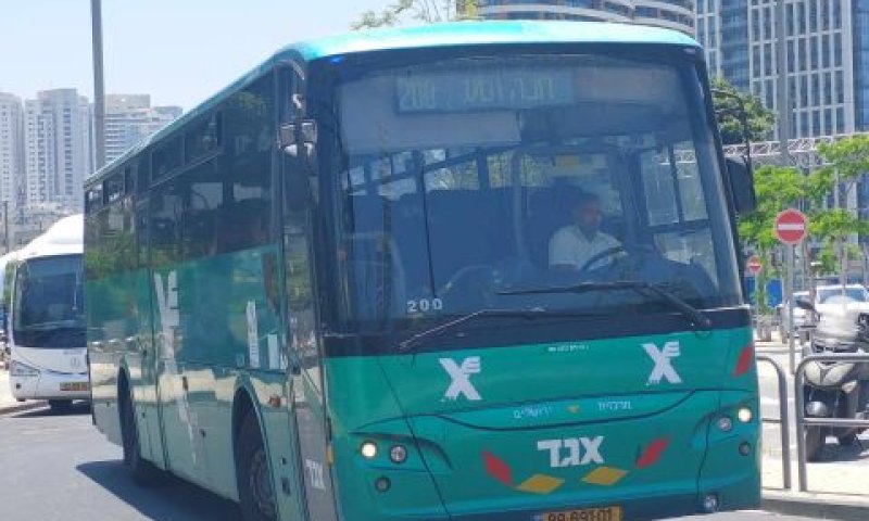 עשרות אלפי נוסעים [צילום: דיויד ליובשבסקי]