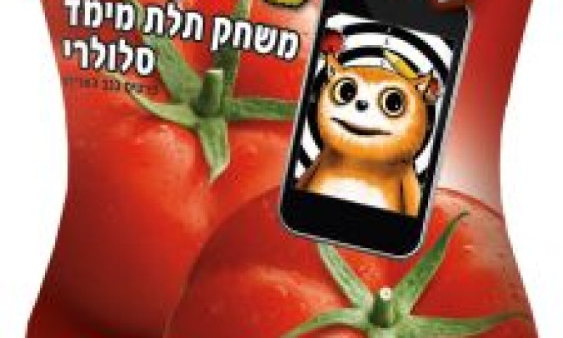 [צילום: סטודיו אסם]