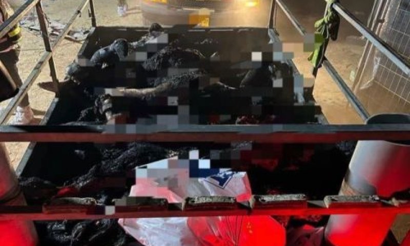 [צילום: שימוש לפי סעיף 27א לחוק זכויות יוצרים]