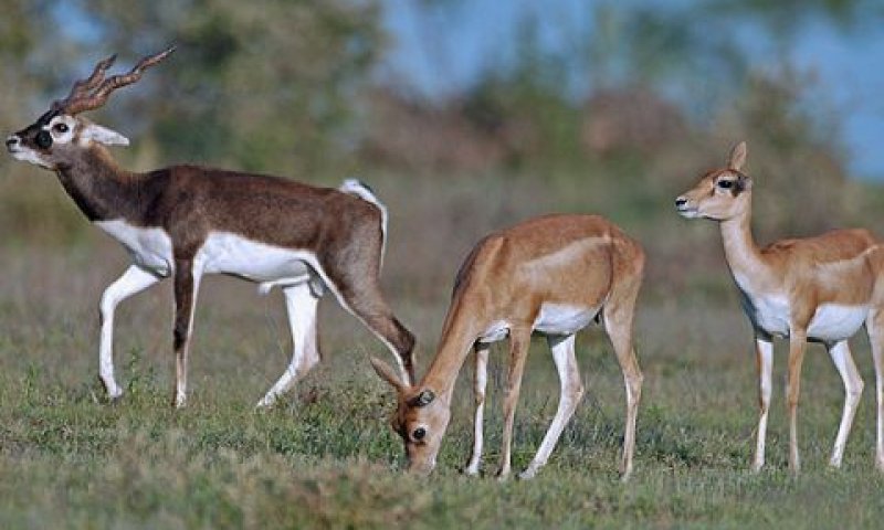 סיכון הנובע מתכונות הדרך [צילום: ראג'ה פורוהייט]