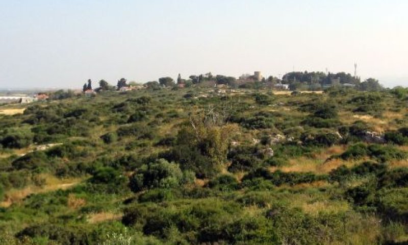 בעקבות פסיקת העליון