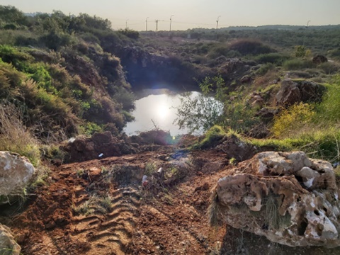 עקבות הטרקטור שכביכול ביצע אתמול עבודות במקום