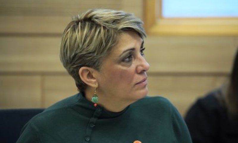 שפק. פער במענה הגופים בכל הרמות [צילום: דני שם-טוב/דוברות הכנסת]