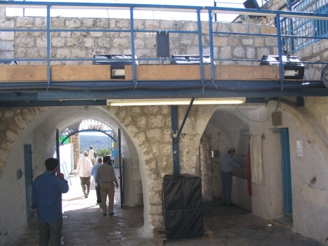 [צילומים: שאול אלק]