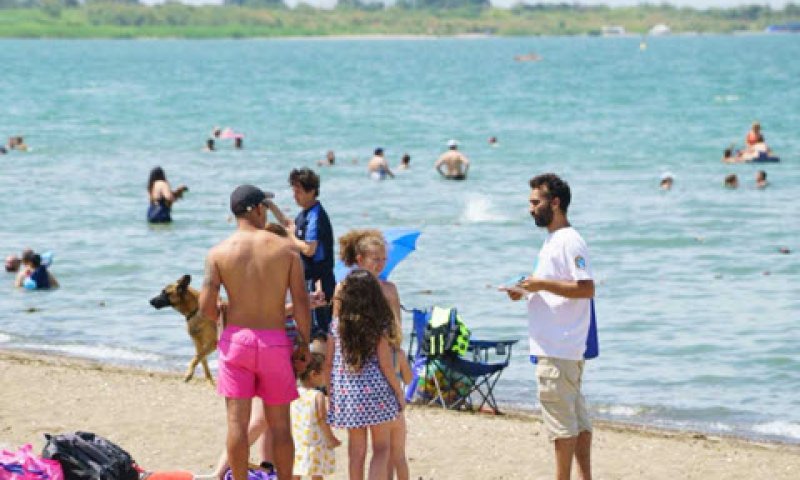 כנרת נקיה [צילום: רשות הכינרת]