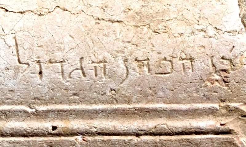[צילום: אסף פרץ ושלומי עממי]