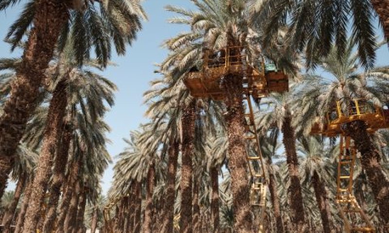 מקור פרנסה מרכזי [צילום: יניב נדב, פלאש 90]