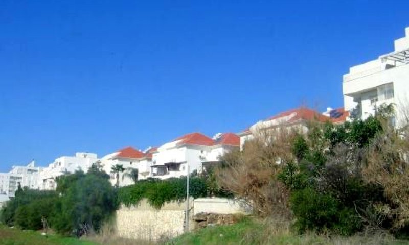 [צילום: עידן יוסף]