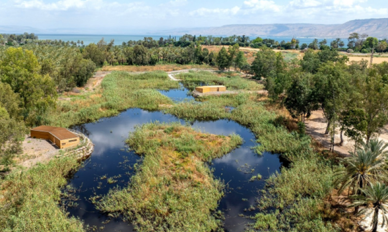 פארק ביצות כנרת [צילום: רחפן אבי אריש, לרשות ניקוז ונחלים כינרת]