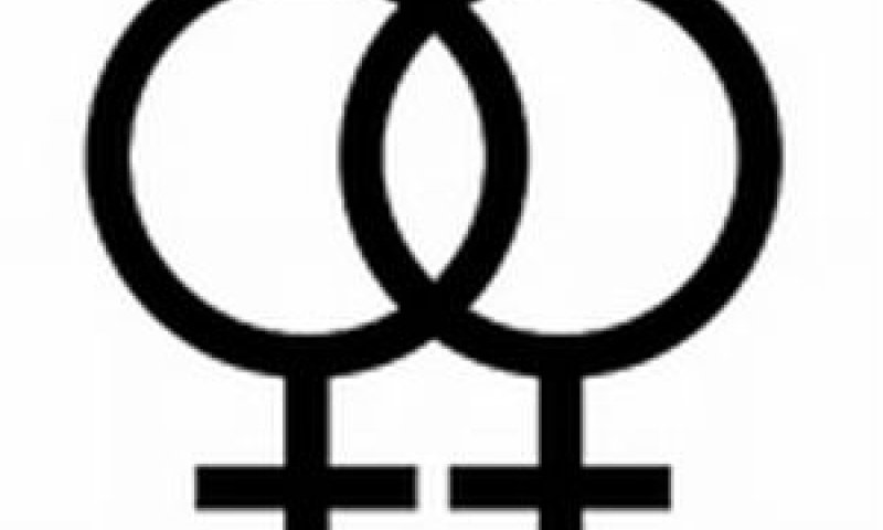 ניצחון לאובמה - הפסד להומואים