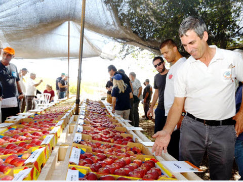 [צילום: מו"פ צפון, החברה לפיתוח הגליל]