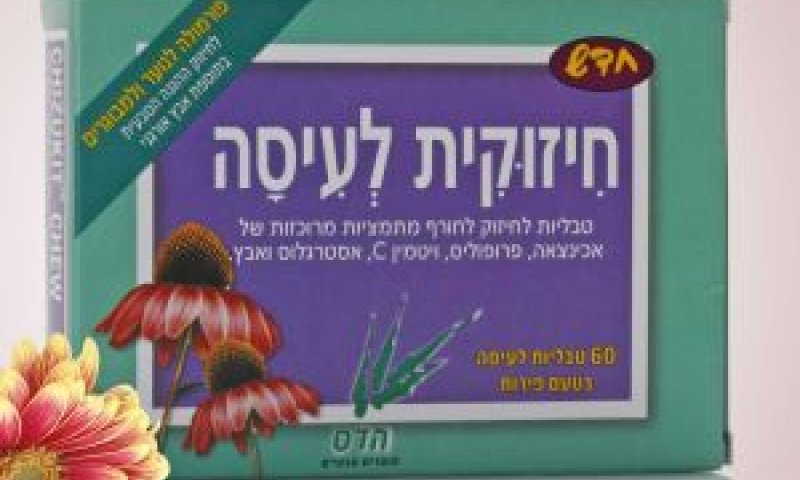 [צילום: יח"צ]