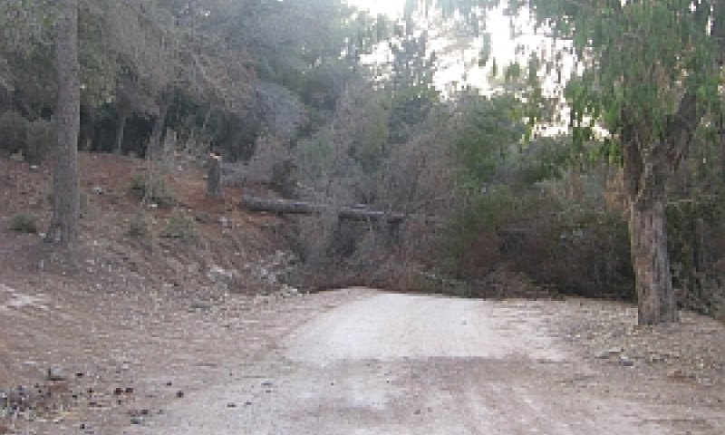 מארב לעבריין טבע [צילום: רשות הטבע והגנים]