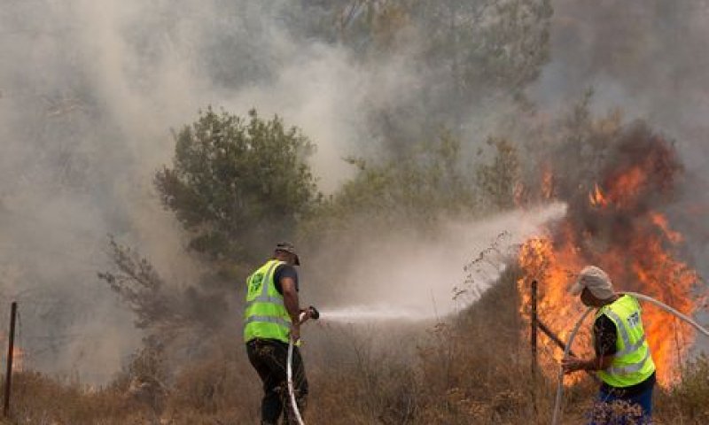 האש התפשטה במהירות רבה [צילום: יונתן זינדל/פלאש 90]