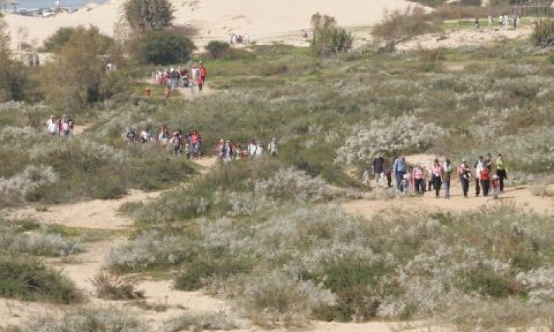 צעדת החולות [צילום: רפי דלויה, החברה להגנת הטבע]