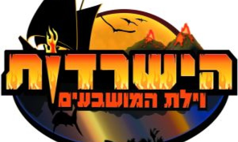 שידור לאינטרנט