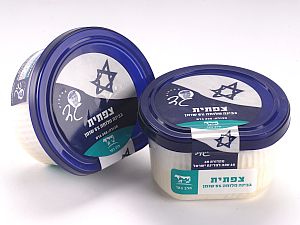 גבינה מלוחה 5% שומן