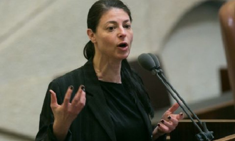 מיכאלי. מטוס ללא טייס [צילום: מרים אלסטר/פלאש 90]