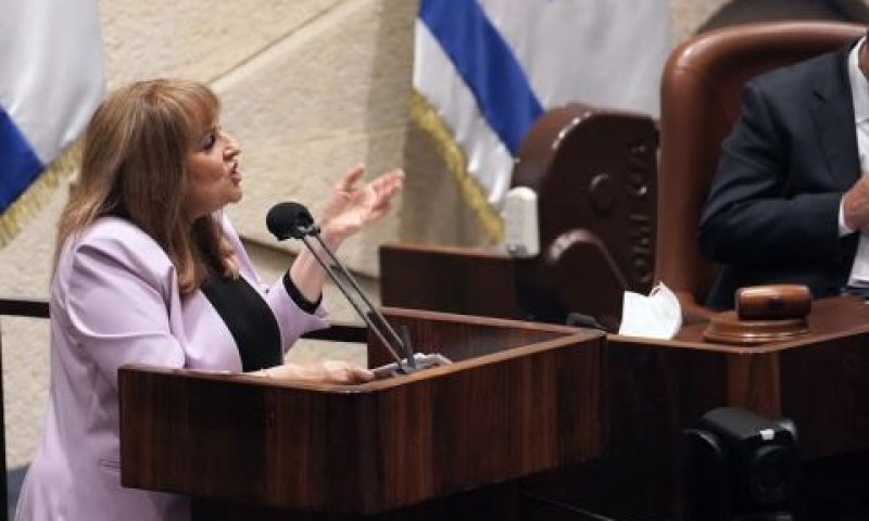 שטרית. "בזיון הכנסת" [צילום: דני שם-טוב/דוברות הכנסת]