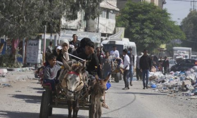 פלשתינים נמלטים מצפון עזה [צילום: חתם מוסא/AP]