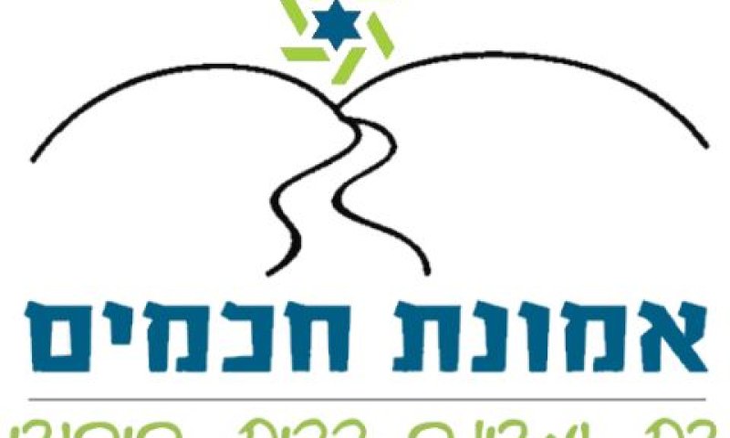אמונת חכמים ברוח התנועה ויש עתיד