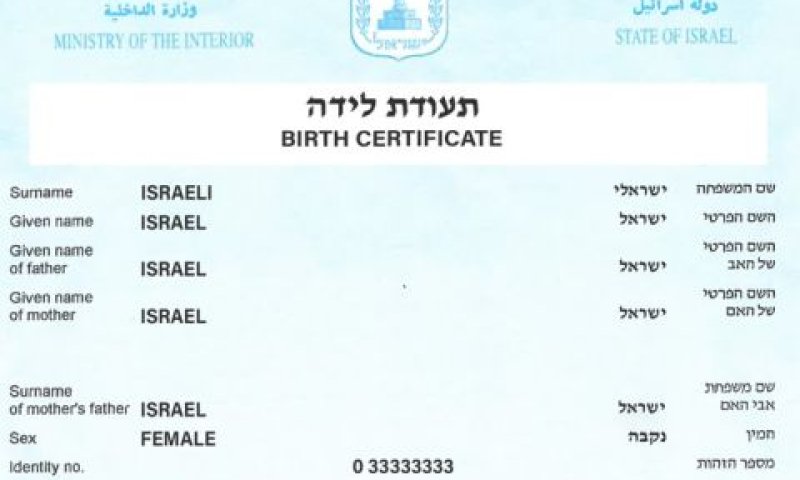 תמונת המצב העובדתית בזמן הלידה