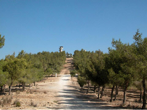 יער להב [צילום: יקעב שקולניק/ארכיון קק"ל]