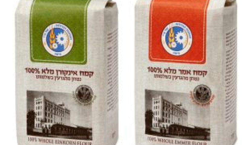 קמחים מזנים עתיקים [צילום: מנחם גרייבסקי]