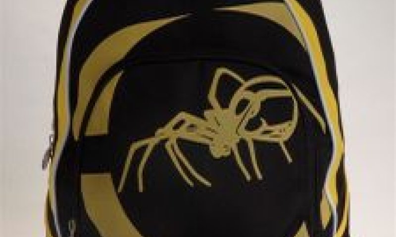spider [צילום: אריאל בשור]