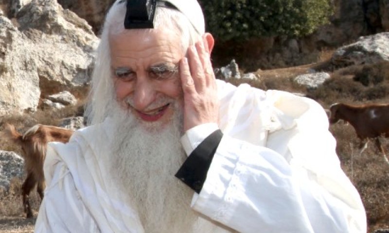 [צילום: פלאש 90]